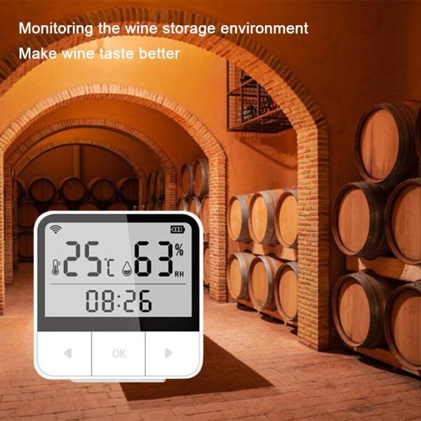 ACJ Smart Home Temperature Humidity Sensor or Plant Growth Thermometer 2