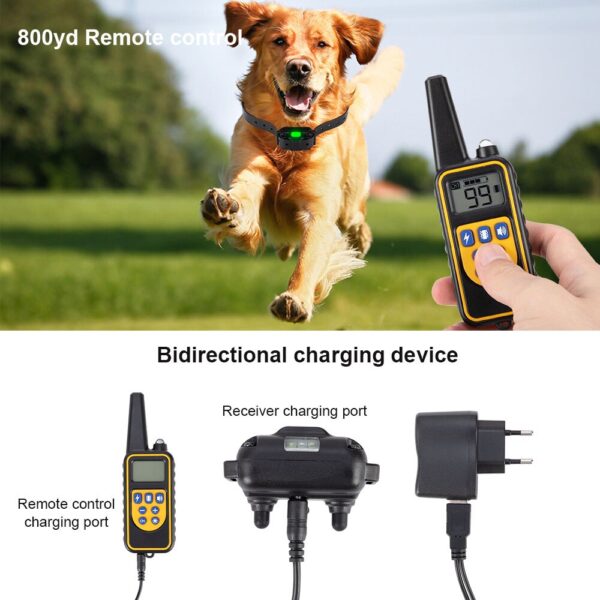 Waterproof Rechargeable Remote Control Digital Pet Training Collar for Dogs Waterproof Rechargeable Remote Control with 1