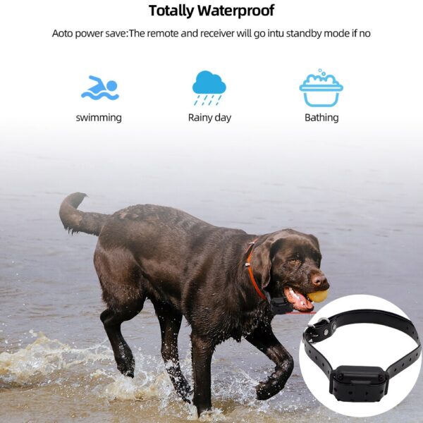 Waterproof Rechargeable Remote Control Digital Pet Training Collar for Dogs with 2