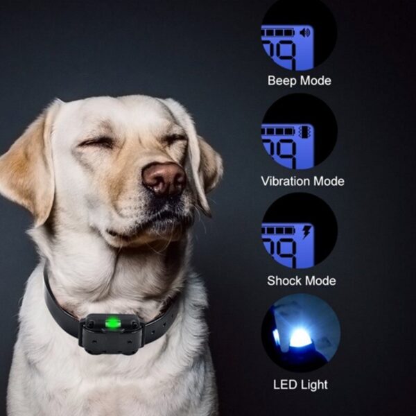 Collar d'entrenament Digital per a gossos mascota de Control remot recarregable a prova d'aigua amb 5