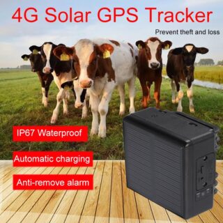 Rastreador solar 4G gps para gado vaca ovelha cavalo RF-V24 à prova d' água IP66 4000mAh