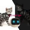 4G gps rastreador para mascotas RF-V43 impermeable para perros con app gratuita - Image 4